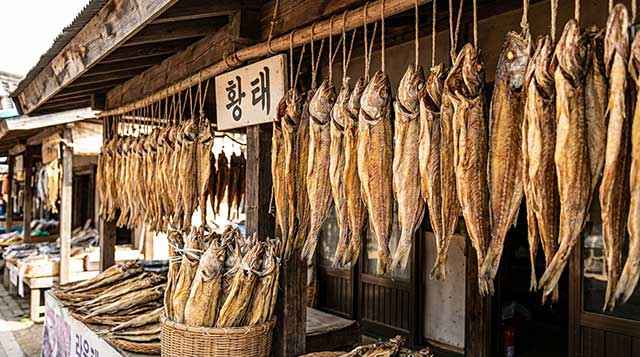 우리가 몰랐던 고단백 음식 TOP 20 - 단백질 왕은 누구?